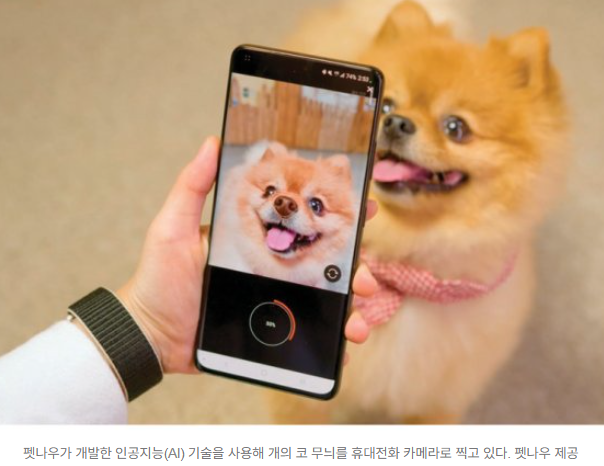   “지문 대신 코!” 반려견 신분증, 이제 AI가 ‘코 무늬’로 만든다마이크로칩 NO! ‘펫나우’의 99.998% 정확도 비문 등록 기술