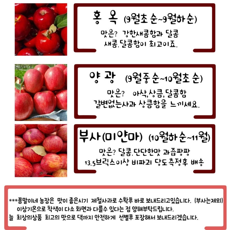 홍옥 품종 사과의 출하시기와 특징 맛과 장단점 가격