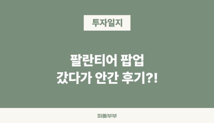  '성수동 팔란티어 PLTR 팝업 후기'라 썼지만 파돌댁 일상 이야기