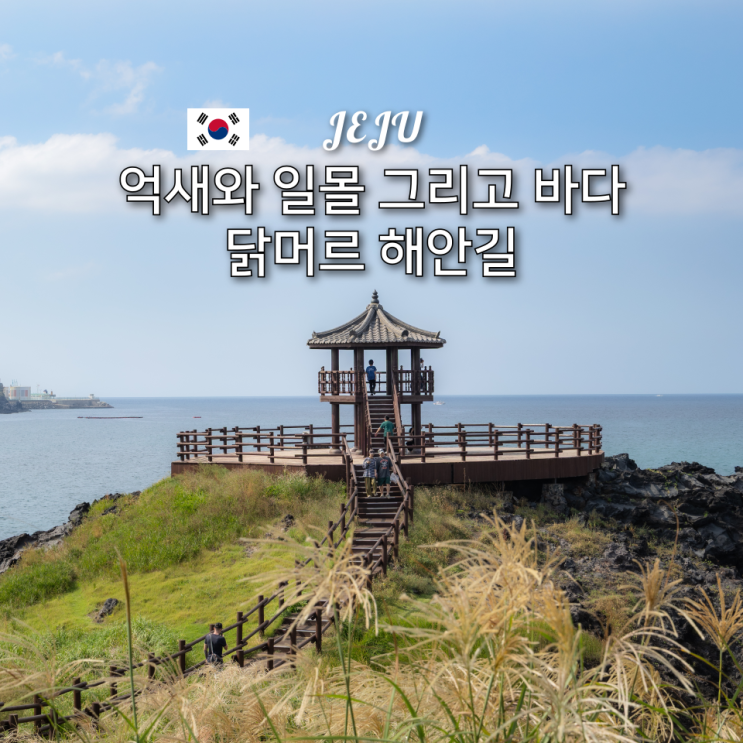  닭머르해안길 주차장부터 일몰까지 제주 억새 명소 걷기