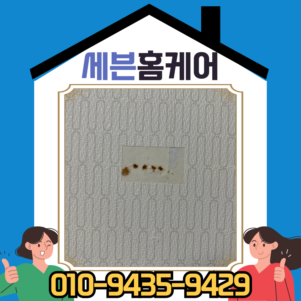 성남 전세 벽지 손상 복원 업체 비용 및 방법 (꼬꼬핀 자국)