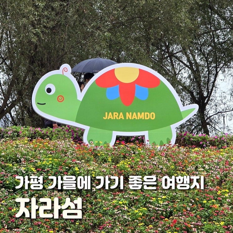  가평 가볼만한곳 자라섬 이화원 출렁다리 한눈에 보기