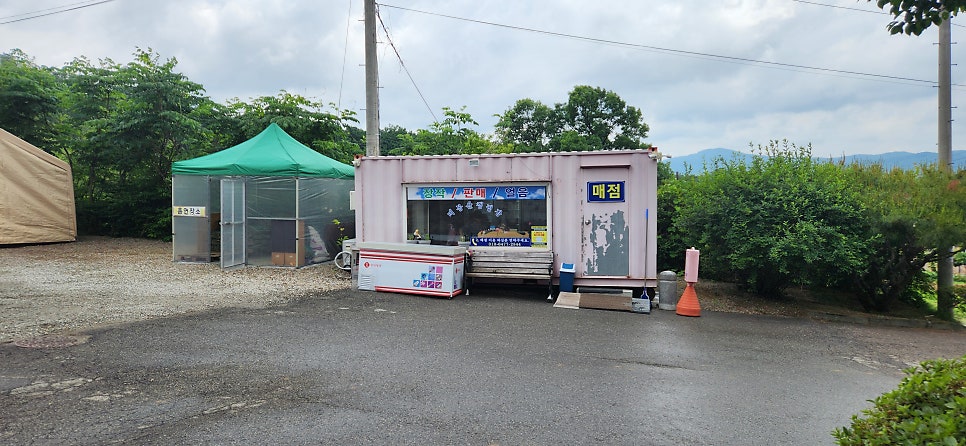 용인비봉산캠핑장 사진 4