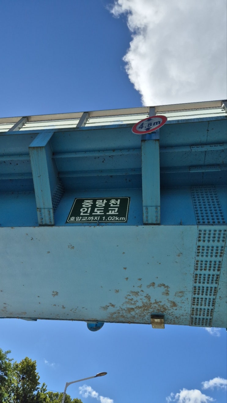 <b>중랑천 실종사건</b>