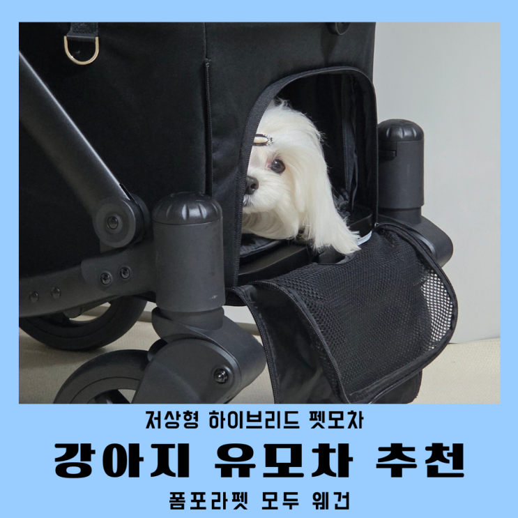  강아지유모차 추천 저상형 하이브리드 폼포라펫 모두웨건