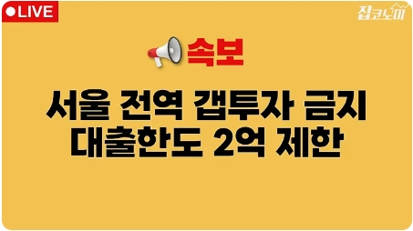 [속보] 10·15 <b>부동산</b> 대책 긴급분석! 서울 전역 갭투자 금지!... 