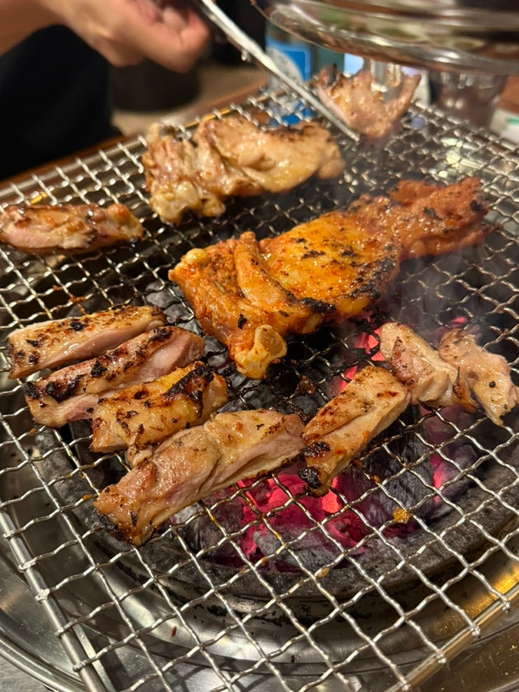  합정역 맛집 숯닭 숯불닭갈비와 닭발!