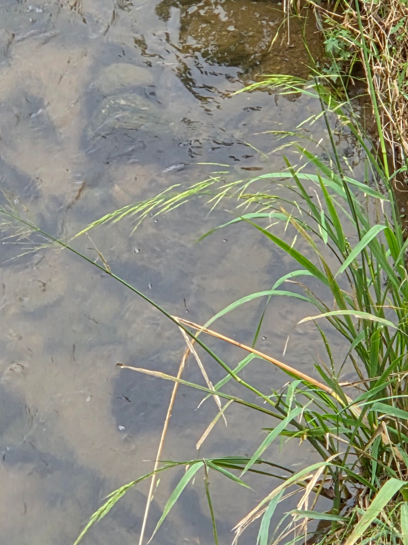 정책지식 2025.10.15. : 네이버 블로그