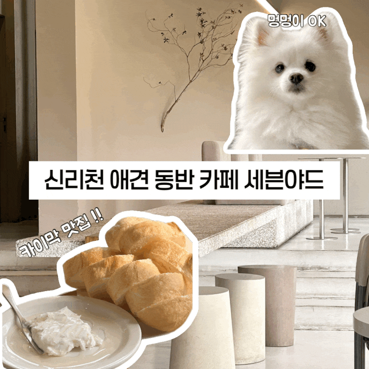  동탄 신리천 바게트 카이막 최고 애견 동반 카페 세븐야드