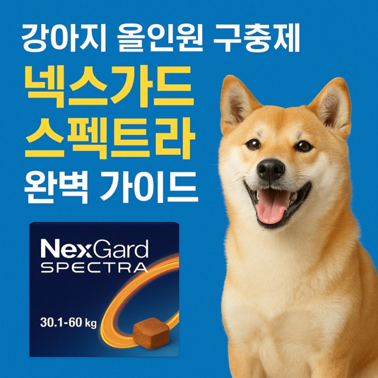  넥스가드 스펙트라 (NexGard Spectra) 완벽 가이드 | 강아지 올인원 구충제 총정리 (2025 최신판)