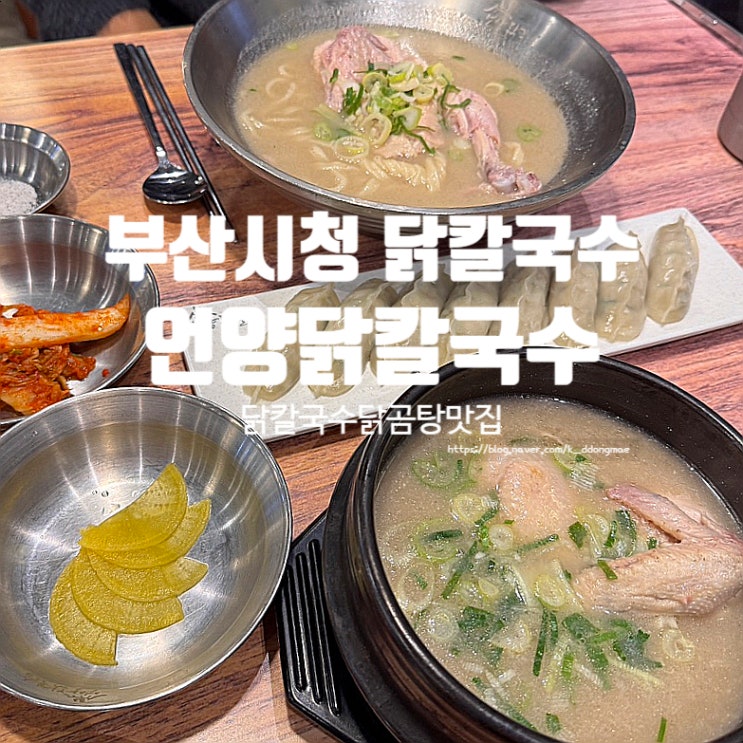  연산동 부산시청 닭칼국수 맛집 언양닭칼국수 부산시청점 점심 추천