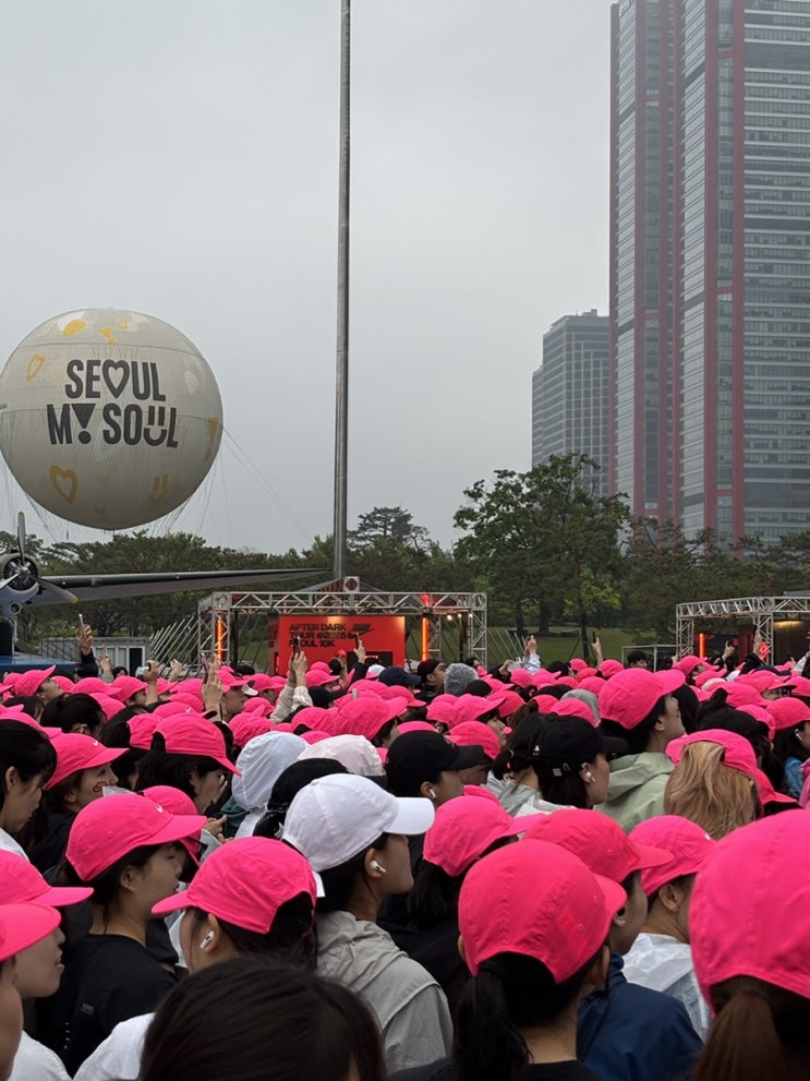  2025 마라톤 일정 서울 경기권 11월 12월 대회 정리