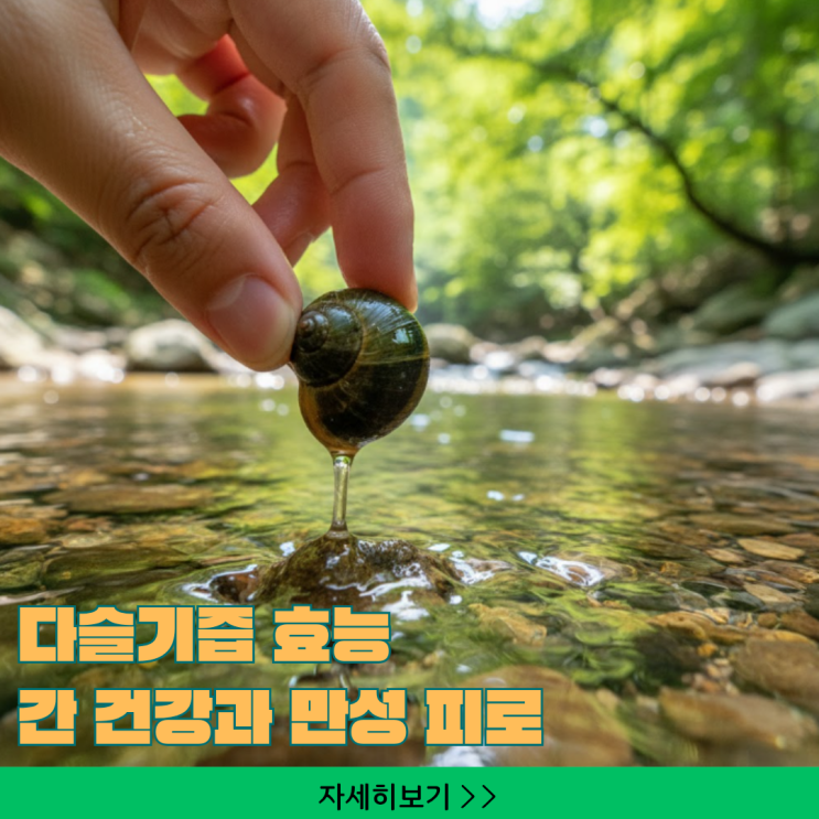  피로 해소제 다슬기즙, 30대 후반 여성 간 건강 살리는 '타우린 폭탄' 비법