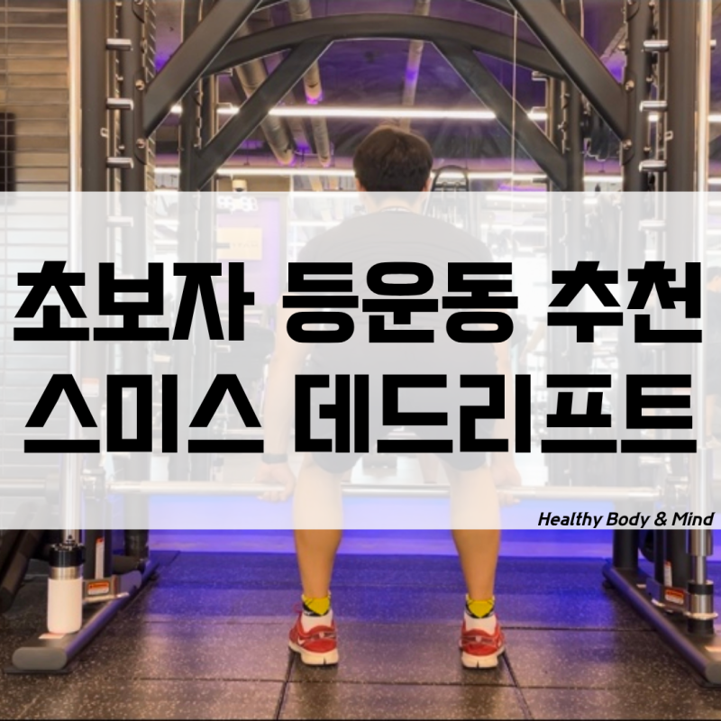 스미스머신 데드리프트 자세 효과 초보자 남자 여자 헬스장등운동 추천
