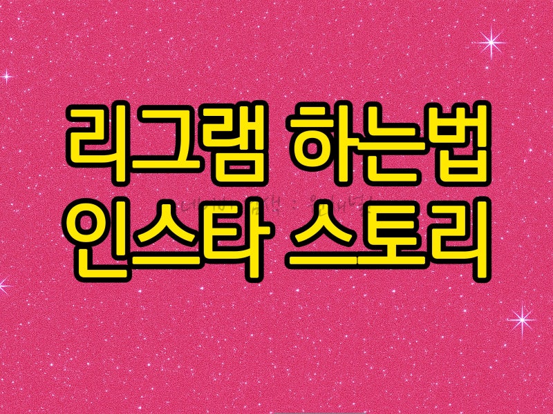 리그램 하는법 인스타 스토리 방법