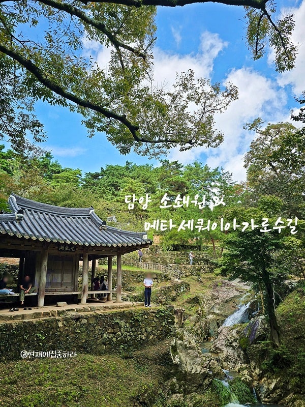사진 7