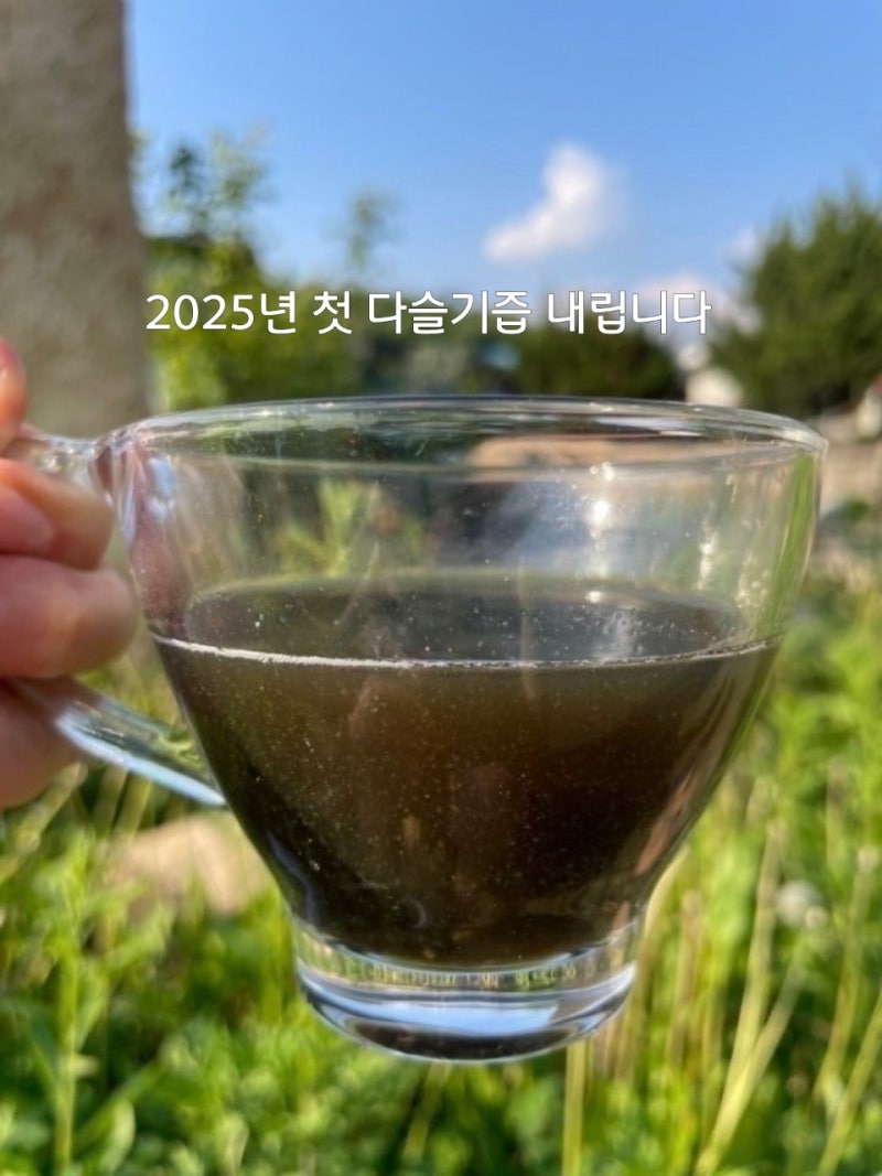 다슬기즙 고민 끝! 충북 금강 어부가 직접 만든 다슬기즙(올갱이즙) 한 박스로 건강 챙기세요