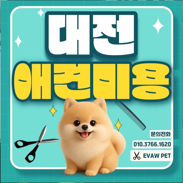  대전애견미용학원 – 실무에서 통하는 기술, 배우는 기간이 중요한 이유