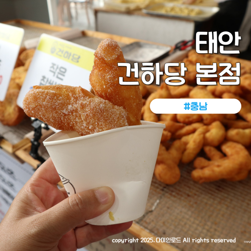 사진 3
