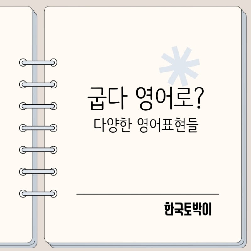 굽다 영어표현들 (Roast Grill Bake Broil Toast Fry Barbecue)