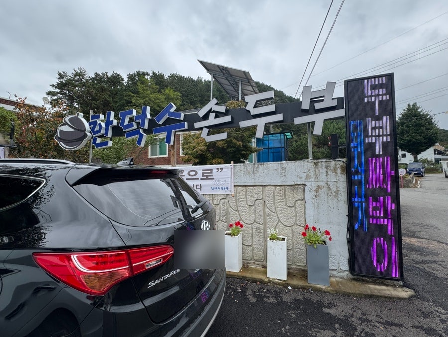 Handeoksusondubu photo 3