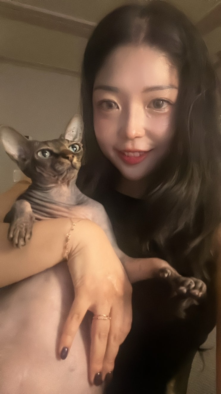  ㅋㅋ재밌는 꿈 꿀꺼야ㅋㅋ