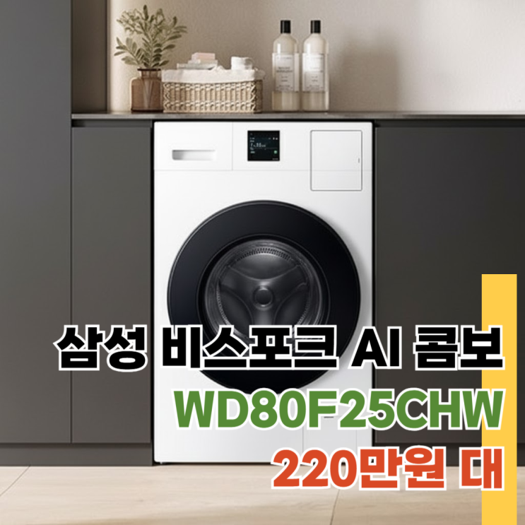  WD80F25CHW 삼성 비스포크 AI 콤보 220만원 대