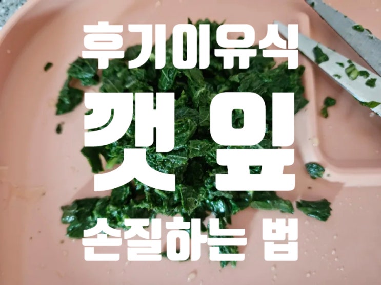  [Rana이유식] 후기이유식 야채: [깻잎] 손질법