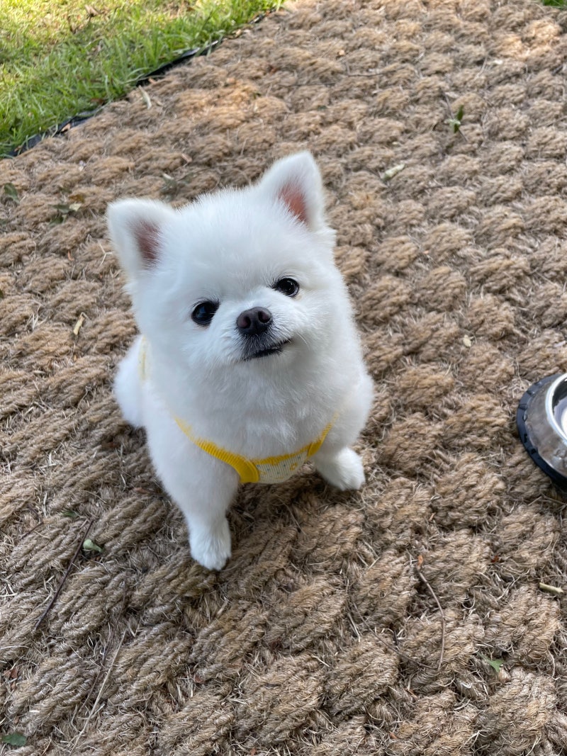 사진 5