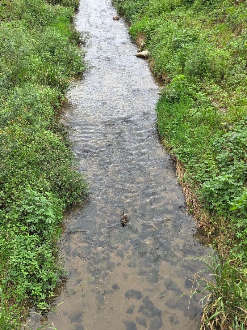 정책지식 2025.10.15. : 네이버 블로그