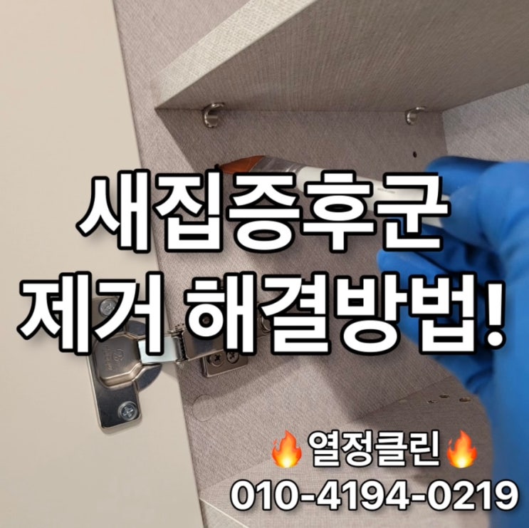  울산 새집증후군 업체 제거 해결 방법