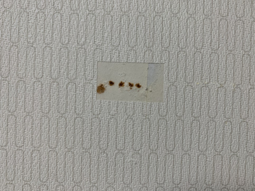 성남 전세 벽지 손상 복원 업체 비용 및 방법 (꼬꼬핀 자국)