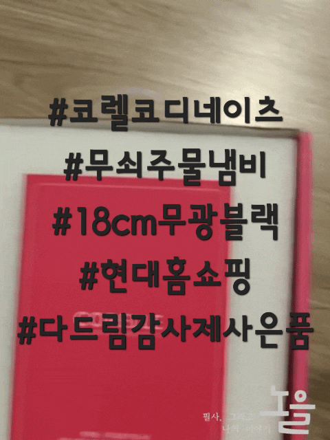 코렐코디네이츠 애슐리 무쇠주물냄비 리뷰 2025 9월 현대홈쇼핑 다드림감사제 사은품