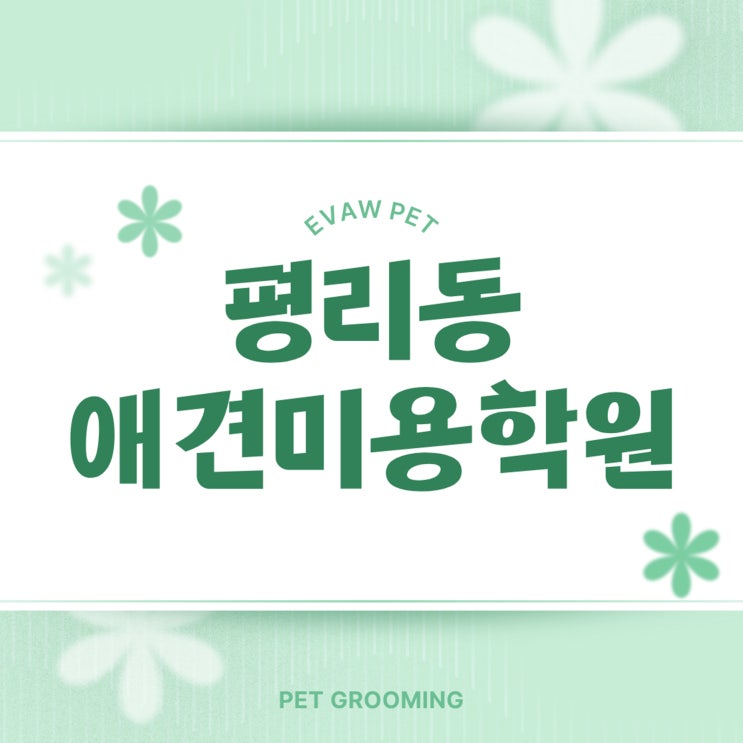  평리동애견미용학원 이바우펫: 체계적인 커리큘럼으로 펫 산업 전문가 양성