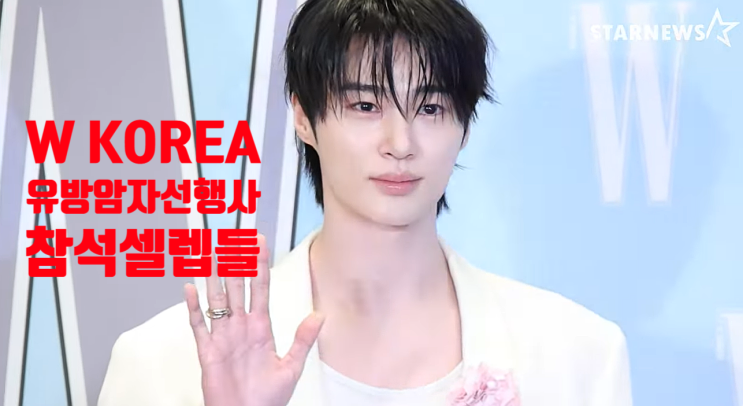 W korea <b>유방암</b> 자선<b>행사 논란</b> 3가지 박재범 '몸매' 누구를... 
