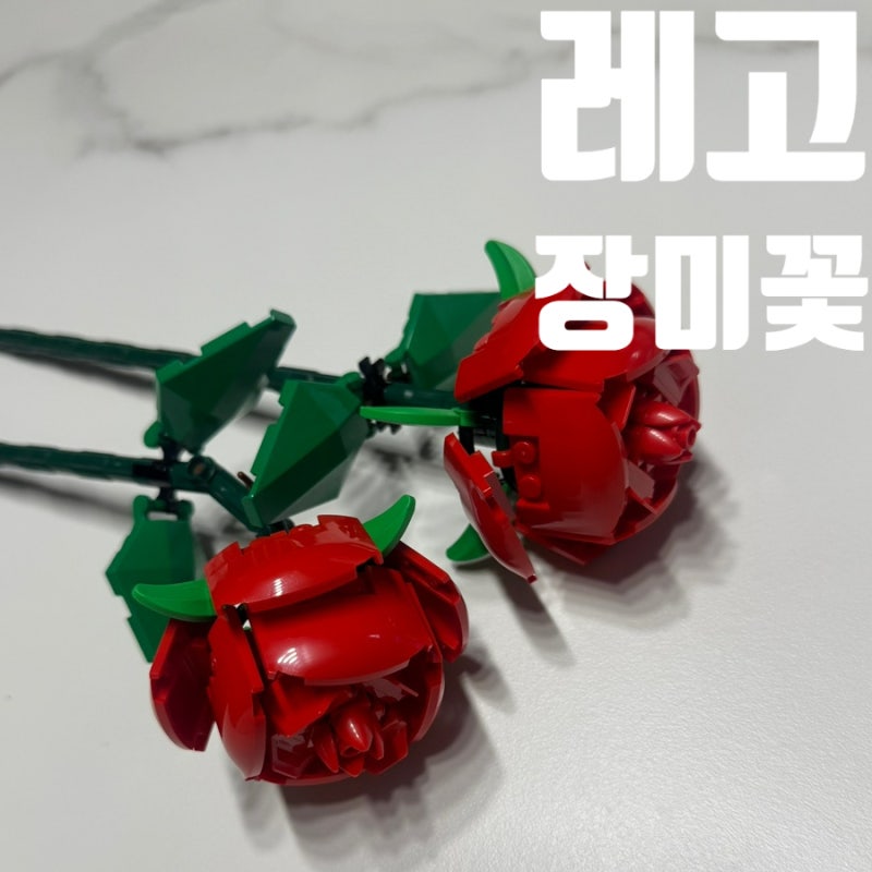 레고 장미꽃 신세계 센텀시티 레고스토어 구매후기