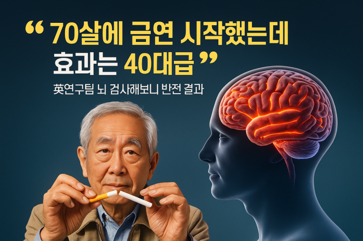  “70살에 금연 시작했는데 효과는 40대급”…英연구팀 뇌 검사해보니 반전 결과