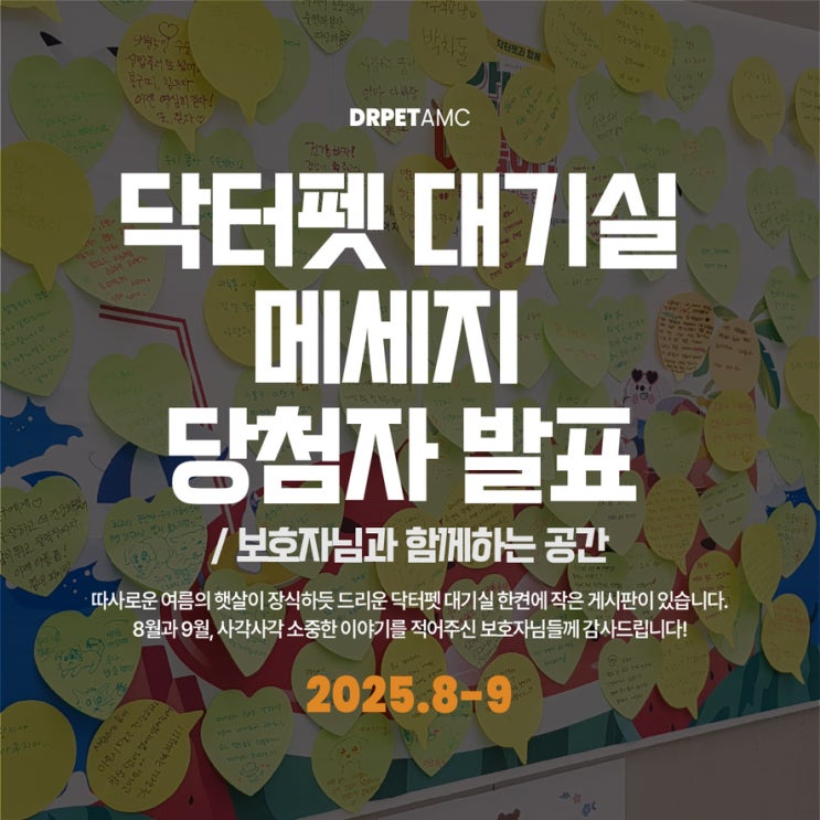  대기실 게시판 2025년 8-9월 보호자님 메세지 추첨 결과 (부산 24시 동물병원)