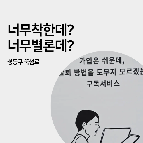 성수동 전시회_" 너무 착한데? 너무 별론데? " 관람후기