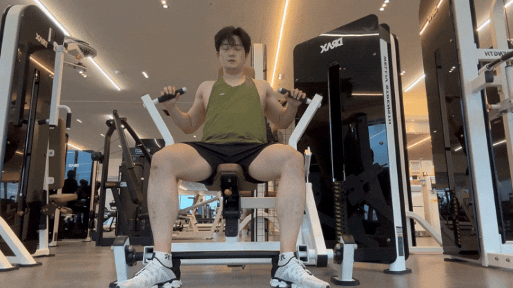 안전한 가슴 운동 추천 체스트프레스 머신 사용법 자세 가슴 키우는 효과