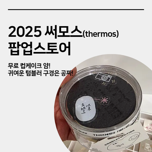  성수 써모스 팝업스토어 컵케이크
