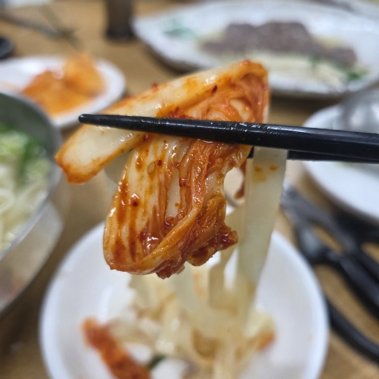  양주 칼국수 맛집 봄날칼국수! 아롱사태 수육과 겉절이 최고