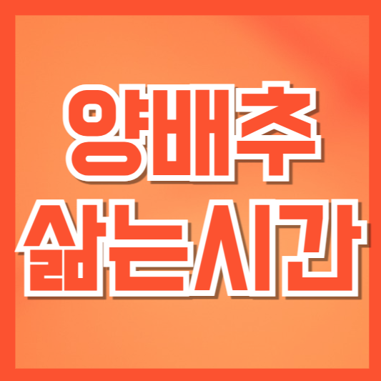  양배추 삶는 시간, 삶는걸까? 찌는걸까!?