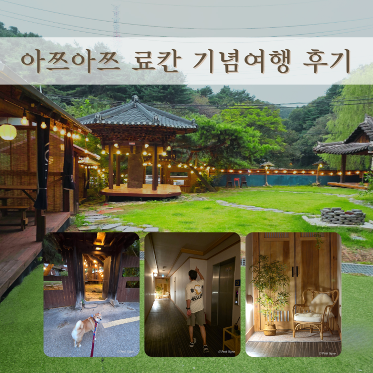  아쯔아쯔 료칸 숙박 후기 | 니지모리 스튜디오 반려견동반 여행기