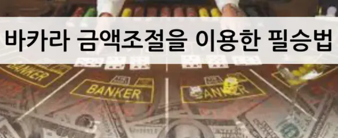  카지노 바카라 금액 조절로 승리 확률 높이기