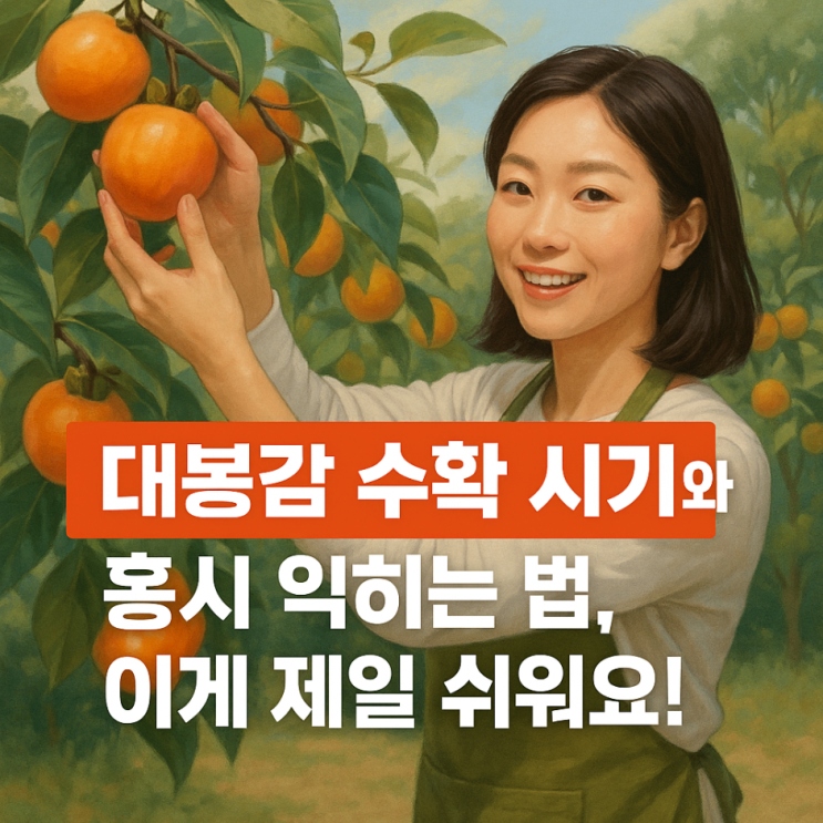  대봉감 수확 시기와 홍시 만드는 법, 이게 제일 쉬워요!