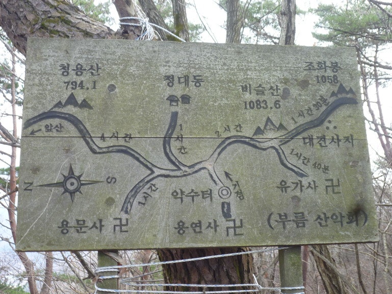 정골 사진 2
