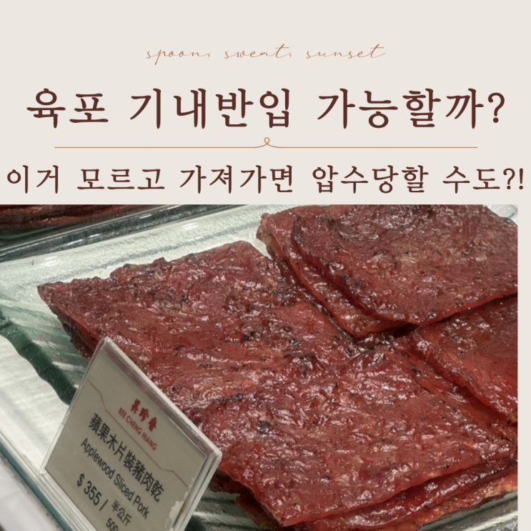  육포 기내반입 가능할까? 2025 최신 여행꿀팁