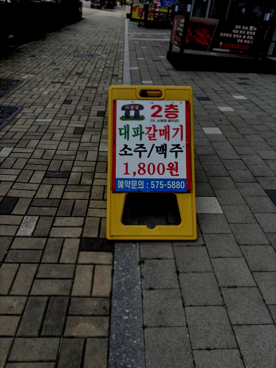 고창집대파갈매기 사진 3