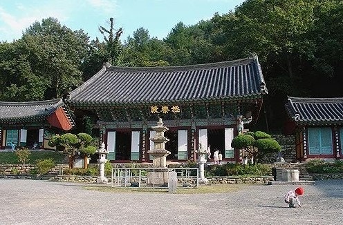 정골 사진 5